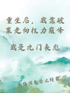 重生后，我靠破案走向權(quán)力巔峰