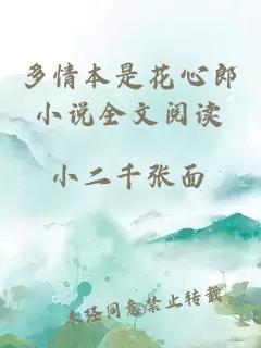 多情本是花心郎小說全文閱讀
